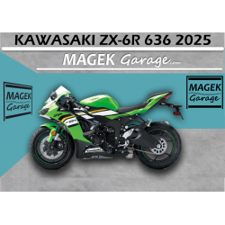 ¡VENDIDA! KAWASAKI NINJA ZX-6R 636 A 2025