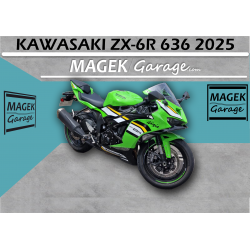 copy of copy of copy of copy of copy of BMW S1000XR 2021