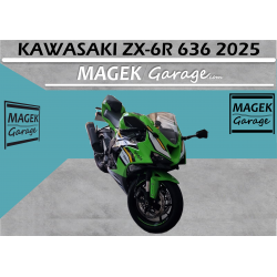 copy of copy of copy of copy of copy of BMW S1000XR 2021