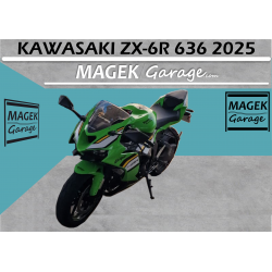 copy of copy of copy of copy of copy of BMW S1000XR 2021