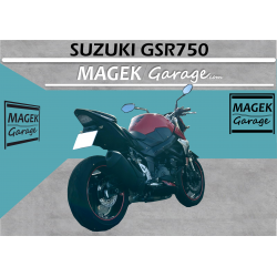 copy of copy of copy of copy of copy of copy of BMW S1000XR 2021