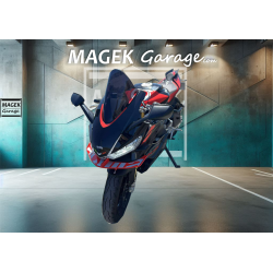 copy of copy of copy of copy of copy of copy of BMW S1000XR 2021