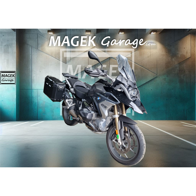 copy of copy of BMW S1000XR 2021