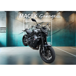 copy of copy of copy of copy of BMW S1000XR 2021