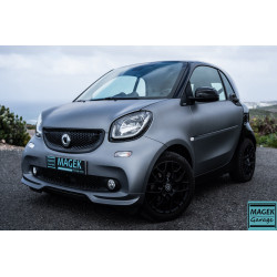 copy of MINI COUNTRYMAN SE ALL4 ACABADO JCW