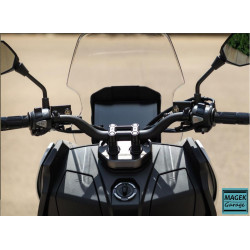 copy of copy of BMW S1000XR 2021